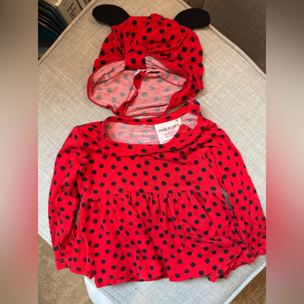 Posh Peanut 3 to 6 month ladybug outfit costume